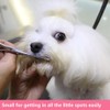 HASHIMOTO Small Dog Grooming Scissors with Rounded Tips, 5.0 inch,