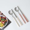 Celebrity Cutlery Kamome Kitchen Color Mood Spoons Chopsticks Cutlery Set