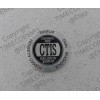 Hummer H1 CTIS Metal Wheel Center Cap Insert Lug Cover