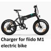 Nvidia ac adapter power supply battery ebike Charger for Fiido