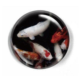 LWAY Paperweight 80mm Crystal Dome (CARP)