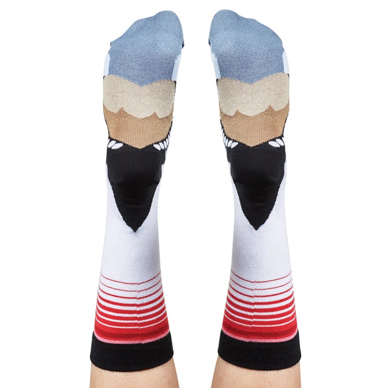 Wilson Payne Down Under Socks - Diamond Firetail, 8-11