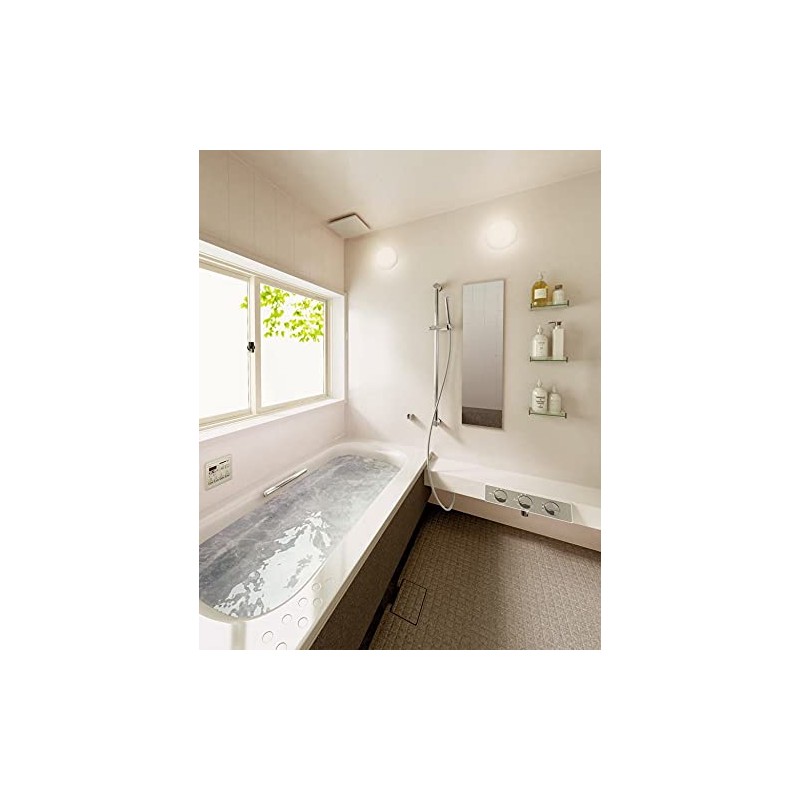 Oderik OG254873R LED Bathroom Light, High Color Rendering, Non-dimmable, Incandescent