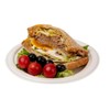 Best House Super Rigid Strong Bagasse Plates - 500 Pack,
