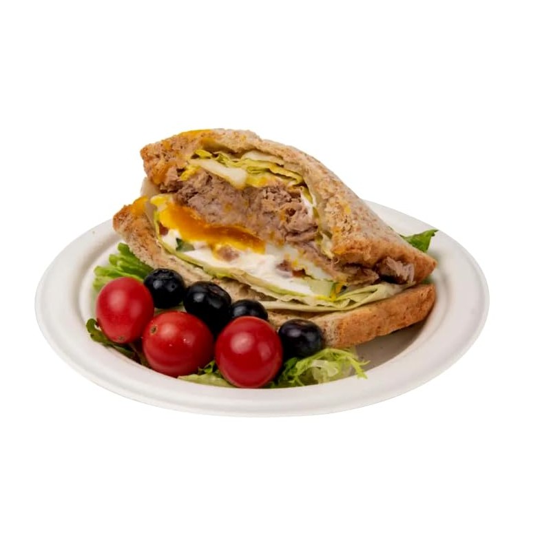 Best House Super Rigid Strong Bagasse Plates - 500 Pack,