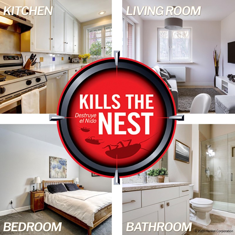 Combat Max 12 Month Roach Killing Bait, Small Roach Bait