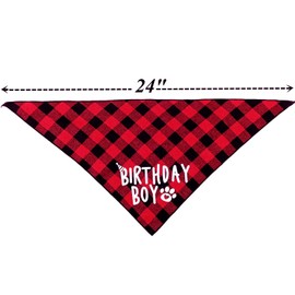 Birthday Boy Dog Bandana