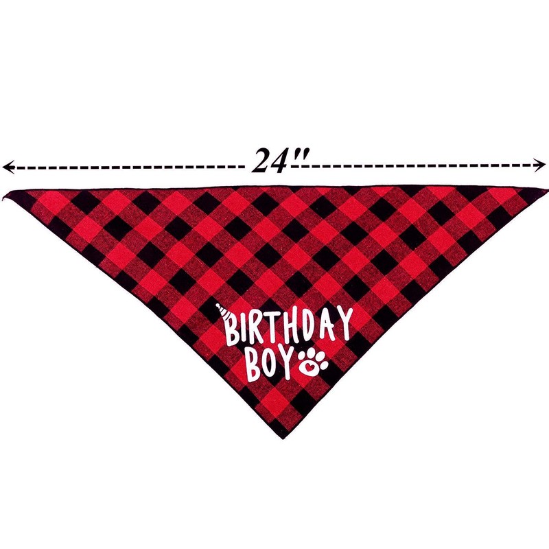 Birthday Boy Dog Bandana