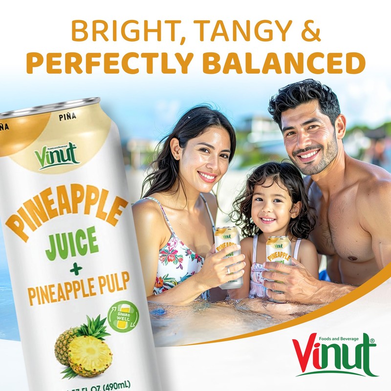 Vinut Natural Pineapple Juice Drink with Pulp, (16.57 fl oz,