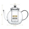 Wlasss 1530 ml/52 oz Large Glass Teapot with Removable Infuser,