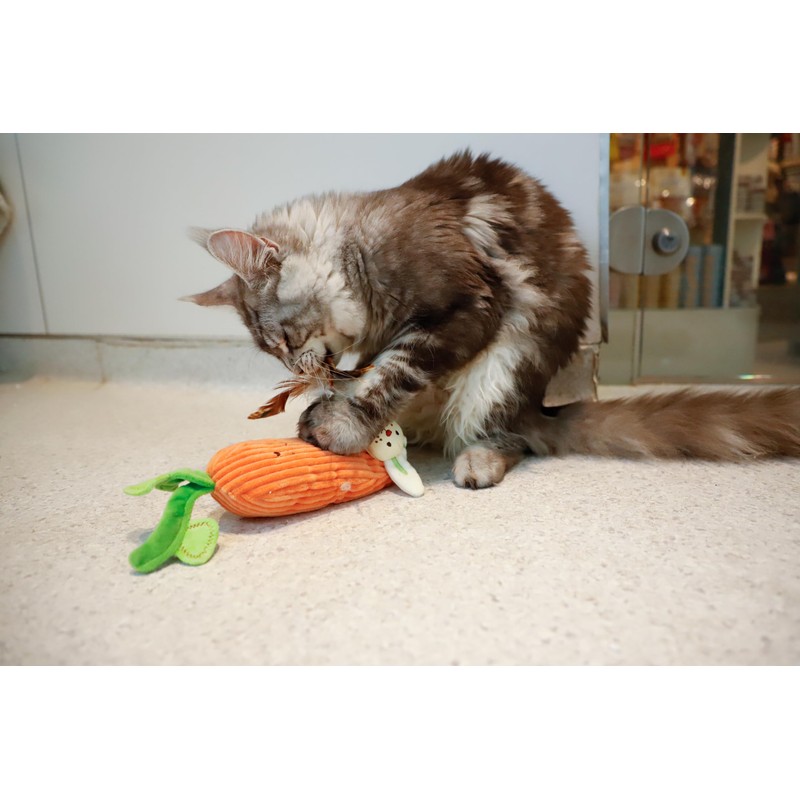 GiGwi Miaozangwan Carrot