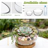 2Pack Slant Cut Bowl, Glass Terrarium, Glass Fish Bowl Vase,