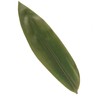 BambooMN Bamboo Leaves for Cooking Zongzi, Banana Leaf Alternative, Grilling/Barbeque,