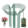 12 Pack Plant Support Stakes, 10" W x 16" H