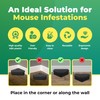 LockBait Pro Mouse Bait Stations | 12-Pack Mouse Bait Box