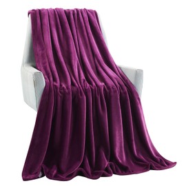 TASTHROW Large Flannel Fleece Throw Blanket, 50×70 Inch - Cozy Lightweight Thick Blanket - All Seasons Suitable for Women, Men and Kids (Purple)