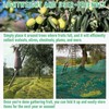 Fruit Collector Harvesting Net - 26.2 x13.1 ft Green Agricultural