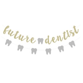 Glitter Future Dentist Banner Medical School Graduation Party Supplies Dessert Bar Bunting with Silver Tooth Shape Garland