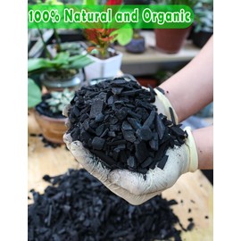 TOYPOPOR Horticultural Charcoal for Indoor Plants (3 Quarts) Hardwood Potting Soil Amendment Helps Improve Drainage for Orchids, Succulent, Cactus, Terrariums, and Gardening