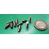 Kmac 18-8 Stainless Steel Set Screws, Brass Tip, 8-32 x