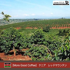 Home-roasted Coffee Yasuragi More Good Coffee Trial Fair Coffee Beans Kenya Red Mountain Tinganga Farm (7.1 oz (200 g)