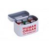 Vintage and Funny Human Organ Lunch Box,the Safest Box for