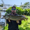 Major Fish Pike Box Predatory Fish Set for Pike Fishing