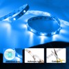 DAYBETTER Led Lights for Bedroom 100 ft, Led Strip Lights