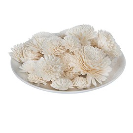 Vickerman Natural Botanicals 1.6"/2.4"/3.2" Assorted Natural Dried Zinnia Sola Flower Head (8 pcs/Size)- 24 Flowers/polybag.