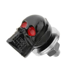 Skull License Plate Bolts Anti-Theft Car Tag Frame Screws for Most Vehicle Motorcycle 4 PCS (Black) 1996-2023