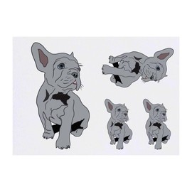 Azeeda 4 x 'Grauer französischer Bulldoggenwelpe' Temporäre Tattoos - Wasserfest, Hautfreundlich & Ungiftig · Transfers in Verschiedenen Größen (TO00072398)