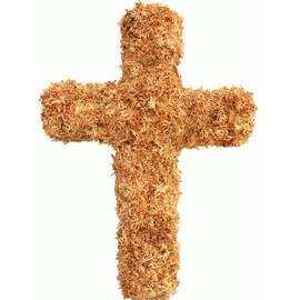 Moss Cross Living Wreath Form - 14" High