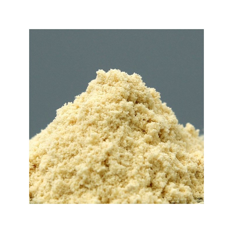동결건조 생강 가루 25g 동결건조 건강분말 생강분말 Freeze-Dried Ginger Powder