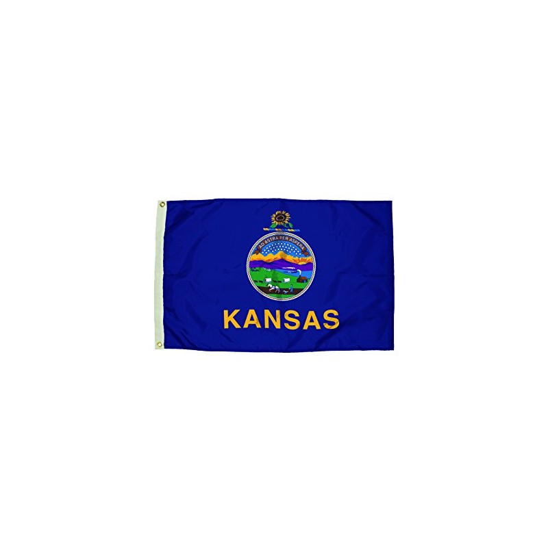 All Star Flags 3x5' Kansas Nylon State Flag - All