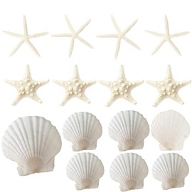 SEAJIAYI 15 PCS 3-4 Inches Large Starfish 2-6 Inch Mixed Natural Scallop Shells Perfect for Wedding Decor Beach Theme Party, Home Decorations, DIY Crafts, Fish Tank