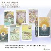 Lunasol Tarot Luna Sol Tarot Divination with Japanese Manual (English