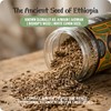Brundo Spices Netch Azmud Ethiopian Wild Caraway Seed Hand Picked