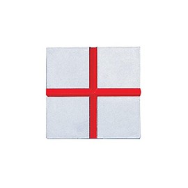 sinwa測定 konoemasuta-rain Stick for