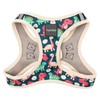 FuzzYard Dinosaur Land Step in Dog Harness | Size XXS