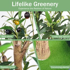 Caxchiling Faux Olive Tree 6FT, Artificial Potted Tree with Planter, Silk Plants Indoor Outdoor, Lifelike Olive Plants with Natural Wood Trunk, Fruits and Buds, Home Office Decor, 2 Pack