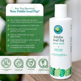 Fiddle Leaf Fig Plant Food Fiddle Leaf Fig Tree Plant Food for Ficus Lyrata (and Ficus Audrey) - Enriched with Calcium, Urea-Free, and Featuring an NPK Ratio of 3-1-2 to Promote Robust Roots, Stems & Leaves (8 Ounces)