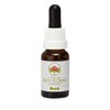 Boab 15 ml Stockbottle Australian Bush Flower Essences