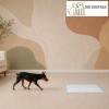 Paños Absorbentes Pañales Tapete Perro Entrenadores 100 Pz