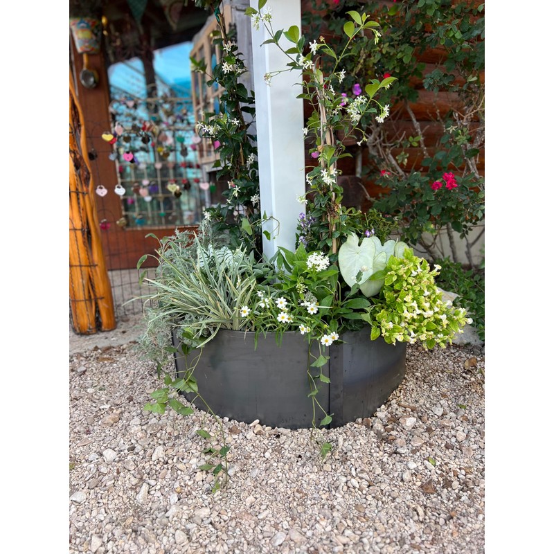 Circular Tree Ring Edging Kit - COR-Ten Steel - Landscape