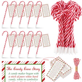 Zhanmai 484 Pcs Candy Cane Meaning Story Gifts Set 240 Pcs Religious Candy Cane Story Cards 240 Pcs Candy Cane Pens with Black Ink 4 Pcs roll red and white cotton rope Christmas Church Holiday Party