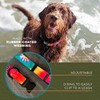 Wilderdog Waterproof Dog Collar - Repels Water & Dirt -