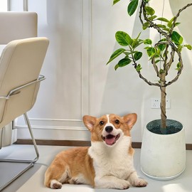 SGYUNQ Plant Pot Grid Soil Protector Covers Cuttable Flower Protector