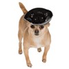 Rubie's Pet Sombrero, Medium to Large, Black and Silver