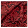 KissTies Mens Red Tie And Pocket Square Paisley Necktie