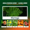 PranaBloom Moringa Drops for Energy Booster, Immune Booster & Free